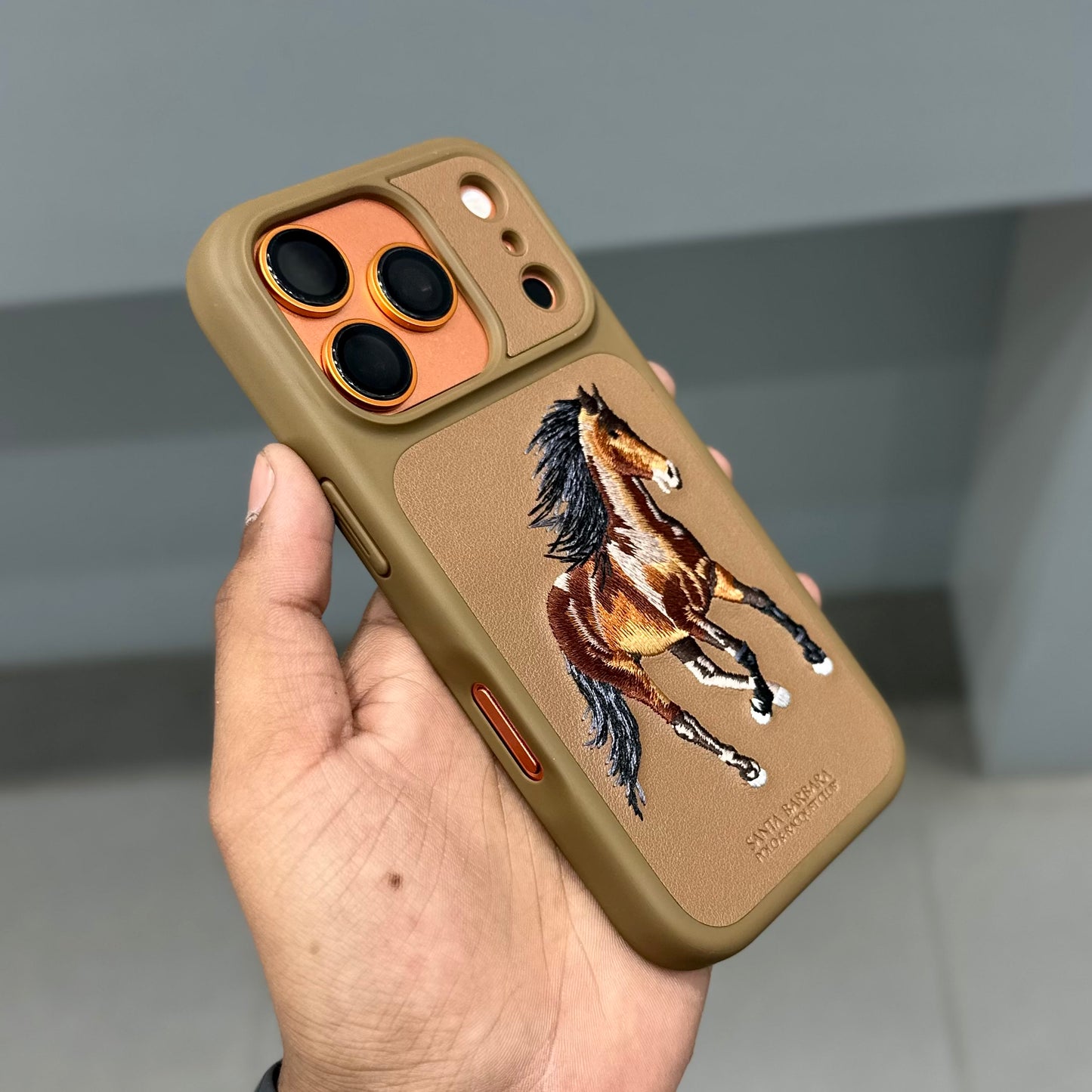 Santa Barbara Boris Case-Brown ( No. 2006 ) 17 Series